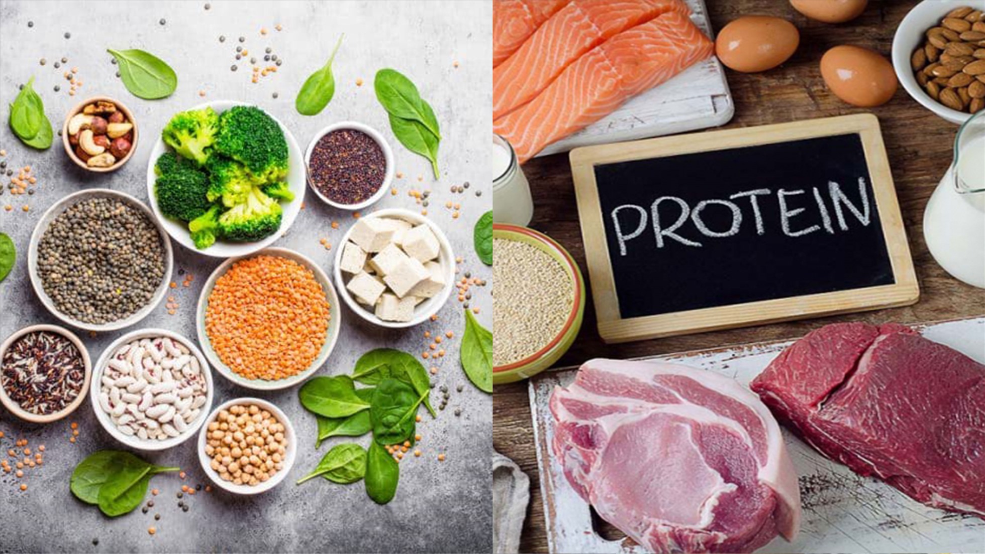 bột protein tăng cơ tăng cân thể hình