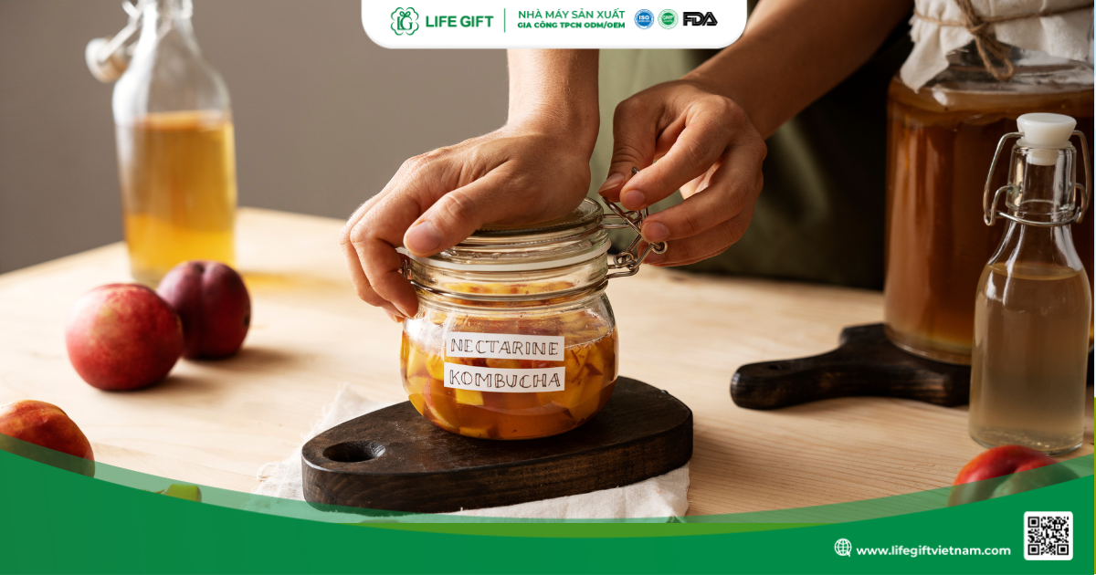 tra-kombucha-co-chua-con-2